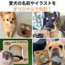 愛犬の姿勢に合わせて調整可能！お出かけに持ち運び便利な折りたたみフードスタンド！