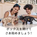 組み立てても歩かせても楽しい！猫の木製組立キットKit Catで癒やしの時間を！