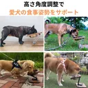 愛犬の姿勢に合わせて調整可能！お出かけに持ち運び便利な折りたたみフードスタンド！